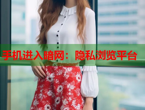 手机进入暗网：隐私浏览平台