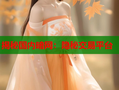 揭秘国内暗网：隐秘交易平台