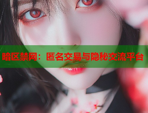 暗区禁网：匿名交易与隐秘交流平台