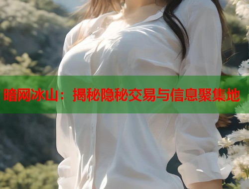 暗网冰山：揭秘隐秘交易与信息聚集地