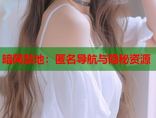 暗网禁地：匿名导航与隐秘资源