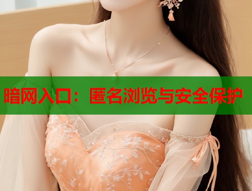 暗网入口：匿名浏览与安全保护