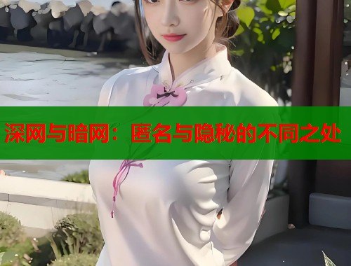 深网与暗网：匿名与隐秘的不同之处