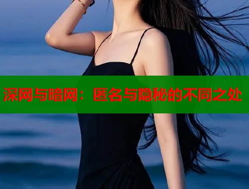 深网与暗网：匿名与隐秘的不同之处