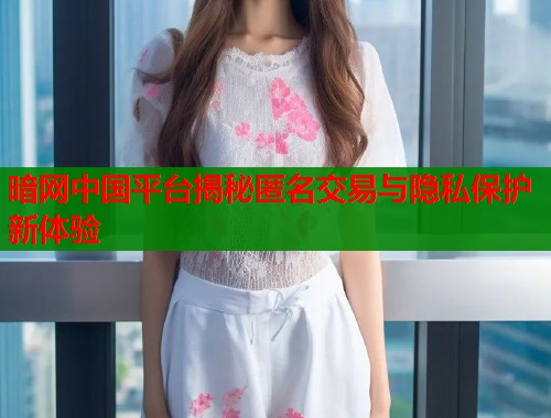 暗网中国平台揭秘匿名交易与隐私保护新体验