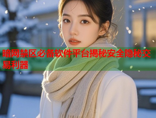 暗网禁区必备软件平台揭秘安全隐秘交易利器