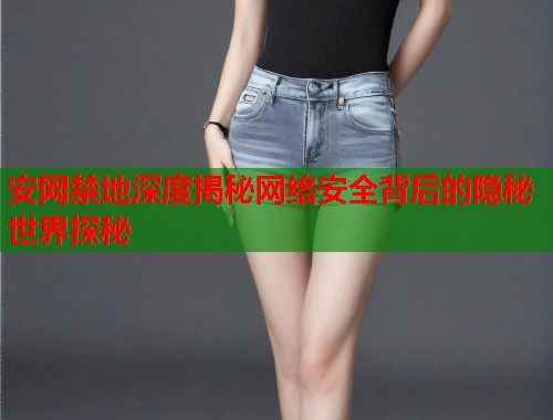安网禁地深度揭秘网络安全背后的隐秘世界探秘
