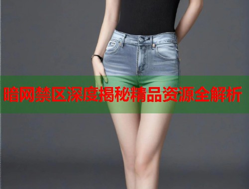 暗网禁区深度揭秘精品资源全解析