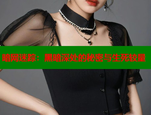 暗网迷踪：黑暗深处的秘密与生死较量