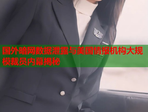 国外暗网数据泄露与美国情报机构大规模裁员内幕揭秘