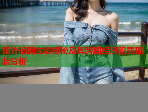 国外暗网生态揭秘及其跨国经济犯罪现状分析