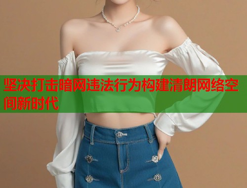 坚决打击暗网违法行为构建清朗网络空间新时代
