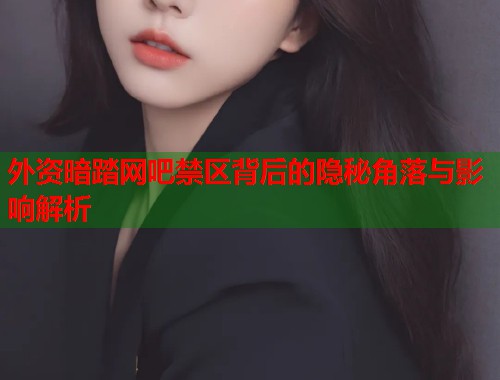 外资暗踏网吧禁区背后的隐秘角落与影响解析