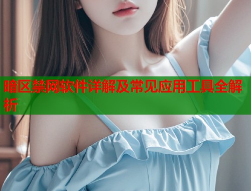 暗区禁网软件详解及常见应用工具全解析