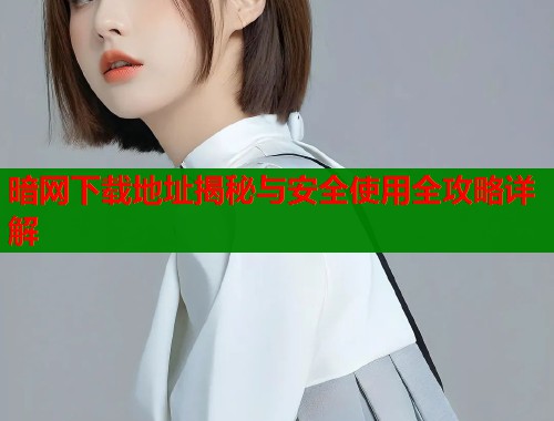 暗网下载地址揭秘与安全使用全攻略详解