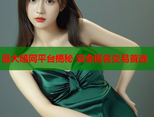 最大暗网平台揭秘 安全匿名交易首选