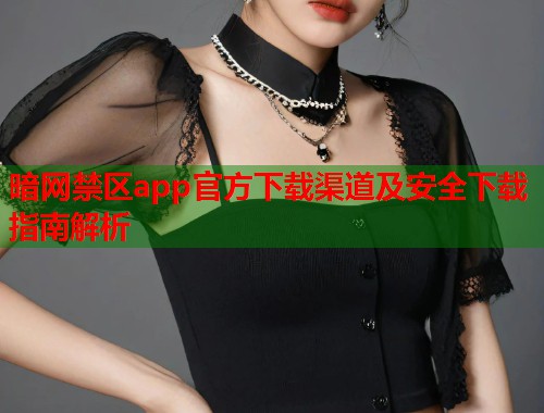暗网禁区app官方下载渠道及安全下载指南解析