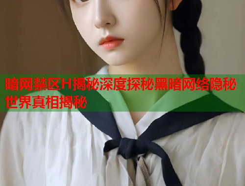 暗网禁区H揭秘深度探秘黑暗网络隐秘世界真相揭秘