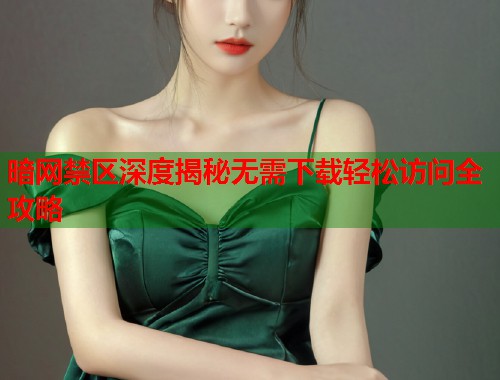 暗网禁区深度揭秘无需下载轻松访问全攻略