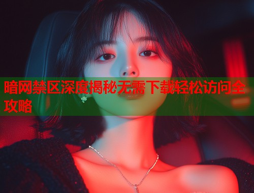 暗网禁区深度揭秘无需下载轻松访问全攻略
