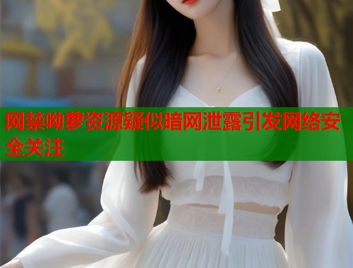 网禁呦萝资源疑似暗网泄露引发网络安全关注