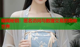 暗网秘钥：匿名访问与数据交易的隐秘世界