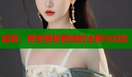 暗网：探索隐秘网络的法规与功能