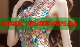 暗网禁地：匿名探索与隐秘通信
