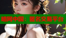 暗网中国：匿名交易平台