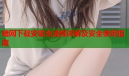 暗网下载安装全流程详解及安全使用指南