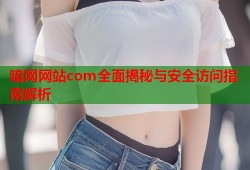 暗网网站com全面揭秘与安全访问指南解析