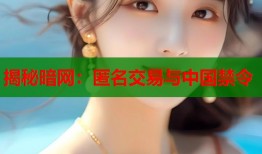 揭秘暗网：匿名交易与中国禁令