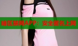 暗区禁网APP：安全匿名上网