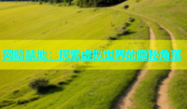 网暗禁地：探索虚拟世界的隐秘角落