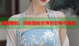 暗网揭秘：探秘隐秘世界的恐怖与真相