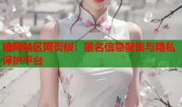暗网禁区网页版：匿名信息聚集与隐私保护平台