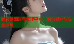 暗区禁网账号管理平台：匿名保护与安全保障