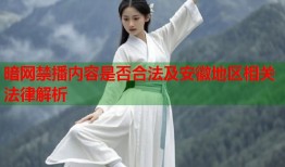 暗网禁播内容是否合法及安徽地区相关法律解析