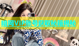 暗网VIP账号获取秘籍揭秘