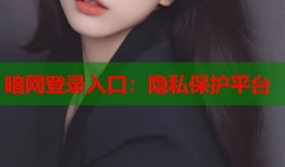 暗网登录入口：隐私保护平台