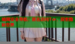 暗网安全导航：匿名访问Tor，探索隐秘世界