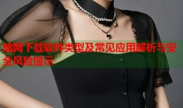 暗网下载软件类型及常见应用解析与安全风险提示