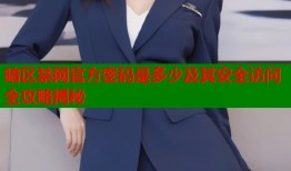 暗区禁网官方密码是多少及其安全访问全攻略揭秘