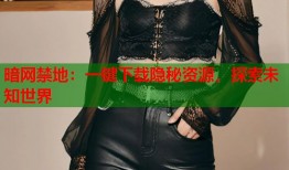 暗网禁地：一键下载隐秘资源，探索未知世界