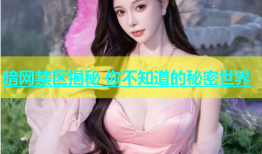 暗网禁区揭秘 你不知道的秘密世界