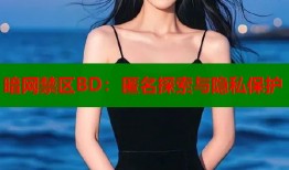 暗网禁区BD：匿名探索与隐私保护