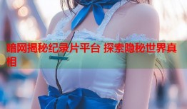 暗网揭秘纪录片平台 探索隐秘世界真相