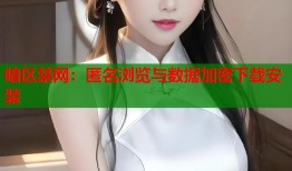 暗区禁网：匿名浏览与数据加密下载安装