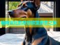 暗网深处的禁忌欲望探索之旅