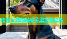 暗网深处的禁忌欲望探索之旅